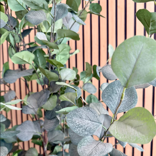 Cream Ceramic Planter with Faux Eucalyptus Plant - Indoor Home Decor