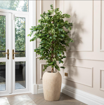 Artificial Ficus Benjamina Tree in Cream Ceramic Pot - 100cm Indoor Plant