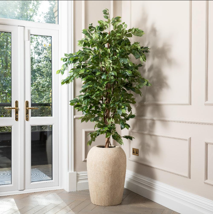 Artificial Ficus Benjamina Tree in Cream Ceramic Pot - 100cm Indoor Plant